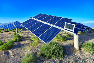 Tilted solar photovoltaic panels outdoors