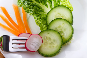 Gesunde Ernährung Low Carb