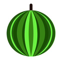 watermelon flat illustration on white