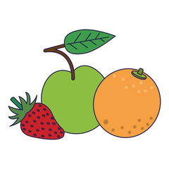 Fruits apple orange and strawberry blue lines