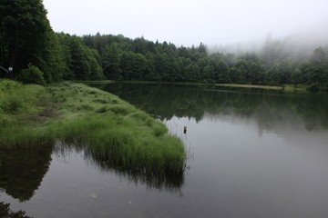 Forest lake summer landscape. Summer forest lake panorama. Forest lake shore view .savsat/artvin/turkey