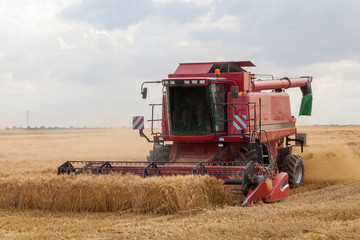 Fototapeta na wymiar Agriculture - Moissonneuse dans un champ de céréales.
