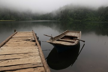 Obraz premium Forest lake summer landscape. Summer forest lake panorama. Forest lake shore view .savsat/artvin/turkey
