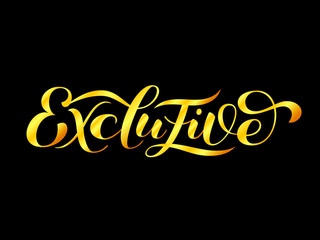 Exclusive brush   lettering for clothes or poster. Vector illustration