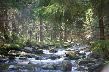 górska rzeka  © szafig