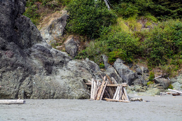 Beach landscape in Olympic National Park, Washington, USA.