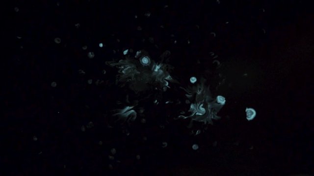 Small white ink drops falling into black water. Mystical liquid white drops mixing with black substance.