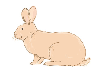 Illustration of sitting rabbit. Cute cartoon bunny on white background. Hare fashion child vector. Cool and lovely rabbit illustration for nursery t-shirt, kids apparel, invitation.