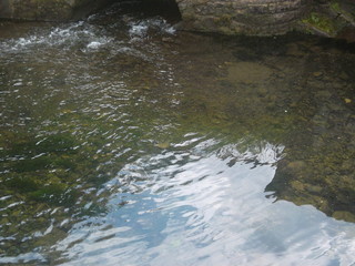 Wasser