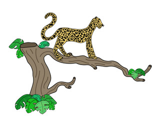 Vector illustration of leopard