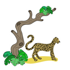 Vector illustration of leopard
