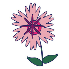 Beautiful flower cartoon isolated blue lines
