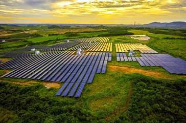 Solar photovoltaic panel with aerial green vegetation base