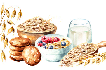 Oats card. Watercolor hand drawn illustration  isolated on white background