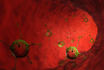 Infection - Virus -  Zelle 