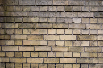 wall of old yellow bricks
