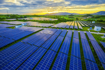 Solar photovoltaic panel base surrounded by aerial green plants