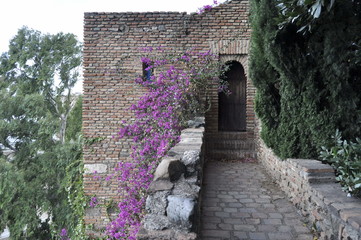 Fortress in Malaga
