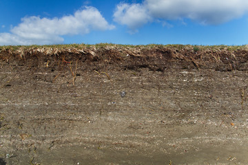 Tidal marsh soil profile in the cutbank of a creek, the result of accretion and erosion, layers of clay with small fragments of shells