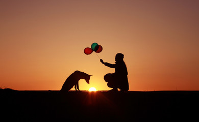 A girl with multicolored balloons and a dog against the backdrop of a sunset, a Belgian Shepherd Malinois dog, the dog looks at the sun