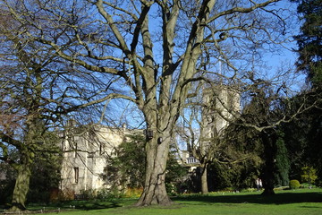 Spring at St Mary’s Abbey, York Museum Gardens - Yorkshire, England, UK