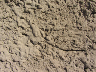 cement building wall facing texture scar cracks