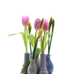 Tulpen und Narzissen in kleinen Vasen