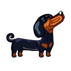 dachshund black and yellow dog drawing