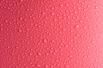 Water drops on a pink, matte background illuminated with a delicate light.