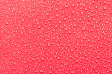 Water drops on a pink, matte background illuminated with a delicate light.