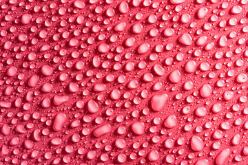 Water drops on a pink, matte background illuminated with a delicate light.