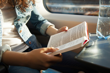 reading traveler a book in a train