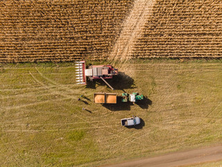 Fototapeta na wymiar Harvesting Corn in Fall skyline Aerial, Shooting from air