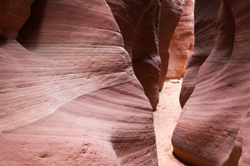 Wire Pass Slot Canyon 7