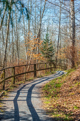 Fragment of Maplewood Park trail in Vancouver, Canada.