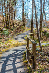 Fragment of Maplewood Park trail in Vancouver, Canada.