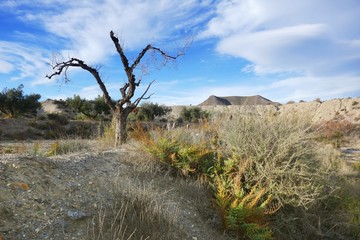 Fototapeta premium Tabernas Wüste von Andalusien, Spanien