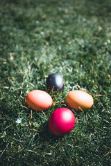 Eeggs decorated with bright colors Placed in a lawn with beautiful sunshine. Easter concept.