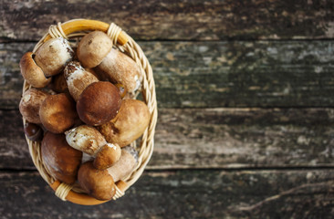 Mushroom Boletus over Wooden Background. Autumn Cep Mushrooms. Cooking delicious organic mushroom. Gourmet food