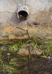 Rainwater flows from a rain gutter at a house