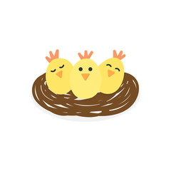 Cute little chicks vector graphic illustration. Easter, spring themed, yellow chickens cartoon in nest, isolated.