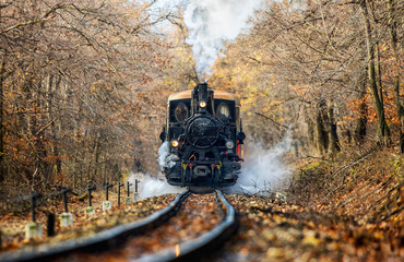 black steam locomotive smoke in the forest