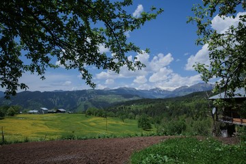 Beautiful Natural Greenery in village.savsat/artvin/turkey