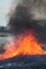 Fire in marsh, natural disaster