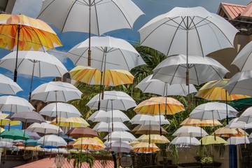 Fototapeta na wymiar Parapluies suspendus