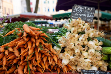 Piles of fresh carrots and salad onions for sale at a market in France