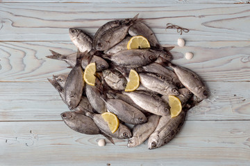 Fresh fish (Oblada melanura) on a wooden background
