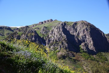 Beautiful Natural Greenery in village.savsat/artvin/turkey