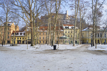 Fototapeta na wymiar Park in Ljubljana in Winter, Slovenia