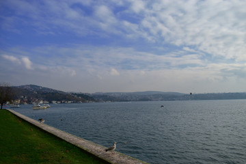 Obraz premium blue sky and seagull in Istanbul Strait, ships and fishing boats.